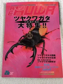 2025年最新】ビークワの人気アイテム - メルカリ
