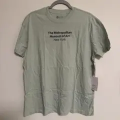 Item thumbnail for item 3b77fdce-426f-49a3-93ad-eea074d820d8