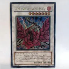 2025年最新】レリーフ ブラックローズドラゴンの人気アイテム - メルカリ