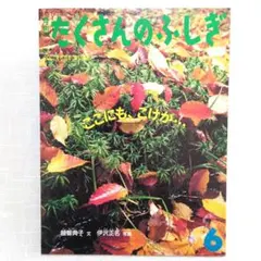 月刊たくさんのふしぎ 6月号（第195号）