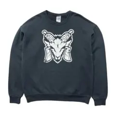 古着 JERZEES スウェット トレーナー THE GOATS プリント
