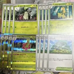 メガニウム　進化ライン　活力の森　各4枚