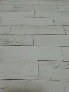 ★パクチー◡̈さま専用★★