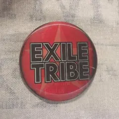 HiGH&LOW 缶バッジ 世界