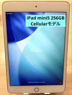 2026年最新】iPad mini 7 256 セルラーの人気アイテム - メルカリ