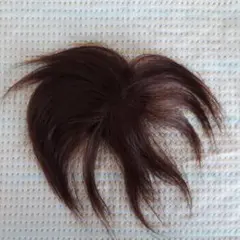 Item thumbnail for item b11f902e-083a-4b4a-a095-91c108bbd87d