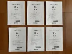SAPIX 6年 1年分フルセット(組分け・マンスリー・SO)18回分 SAPIX サピックス SS特訓 WG 算数 【全11回分フルセット】 2024 007s2D