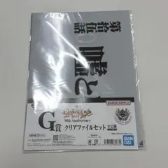 一番くじ 新世紀エヴァンゲリオン G賞 クリアファイルセット