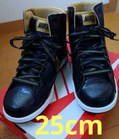 希少★NIKE AIR TROUPE MID ナイキエアトゥループミッド 25