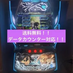 ノリ様専用ソードアート・オンライン データ型ユニット バイブスイッチ