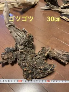 流木　爬虫類系？変わった形