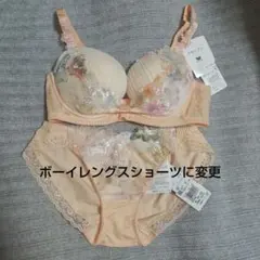 ⭐️未使用⭐️C75-Lワコールブラジャーショーツ上下セット 女神の