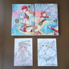 最上級の聖女らしいですが、竜王様の花嫁にはなりません!～追放されたので薬師とし…