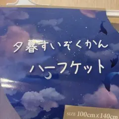 新品未使用　夕暮すいぞくかん ハーフケット お昼寝のサムネイル