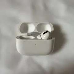 Apple AirPods Pro 本体 充電ケース イヤホン