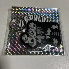 Eve COUNTDOWN JAPAN 22/23 キーホルダー キーリング