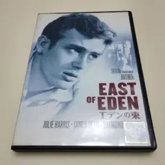 2026年最新】East of Edenの人気アイテム - メルカリ
