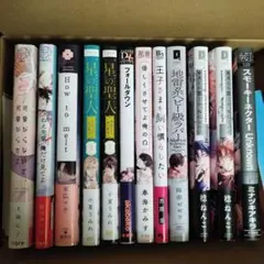 ★【23冊セット】まとめ売り☆BLコミックス