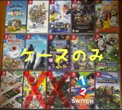 Nintendo Switch ケースのみ
