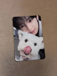 ZB1 NEVER SAY NEVER ハンユジン 犬 トレカ