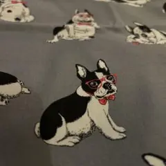 グレーにフレンチブルドッグ柄です69✖️112