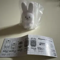 JUNK FOOD OPERA カプセルフロッキーズ