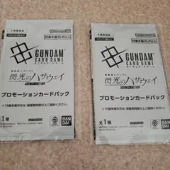 閃光のハサウェイ キルケーの魔女 映画特典 プロモーションカード 2個セット