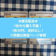 ポケモンカードゲーム 変化の書 グッズ ニンジャスピナー