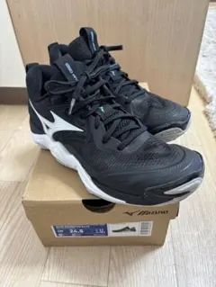 備品❗️MIZUNOバレーボールシューズ　ウェーブモーメンタムEliteのサムネイル