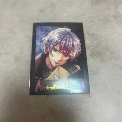 あくねこ ぱしゃこれ アモン