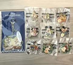 ディズニー メタルチャーム ピンバッジ チップとデールキーホルダー　まとめ売り
