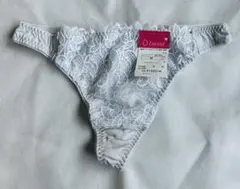 Item thumbnail for item 8c3c80cc-a65f-4fff-bb73-b18c8377c53a