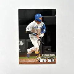 楽天イーグルス 辰巳涼介 プロ野球チップスカード サイン入り - メルカリ