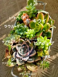 ゆうママ様 リクエスト 3点 まとめ商品