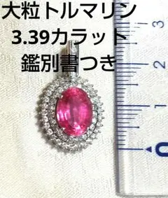 Item thumbnail for item 04025c15-c7a7-4bdb-b4bf-e68f3218c67d