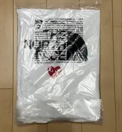 ノースフェイスCOMME des GARÇONS PLAY Tシャツ Lサイズ