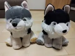 もふっとオオカミ ミステリアス LMCコンプリート ≪9月の新商品≫もふっとオオカミミステリアス-NEW ITEM！｜アミューズ