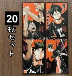 山口忠　ハイキュー援カード　20枚セット