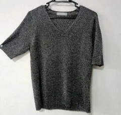 DAMA collection ラメ混 Vネック 半袖ニットのサムネイル