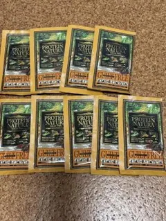 PROTEIN NATURA ソイプロテイン 9袋セット（ココア）