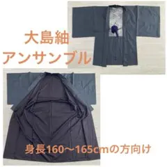 ☆地球印 大島紬 アンサンブル 紺 - メルカリ