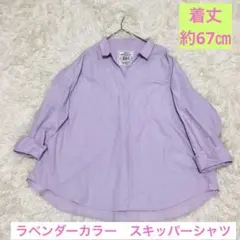 薄紫　ラベンダー　襟付　スキッパー　Vネック　シャツ　7部　春服　LL