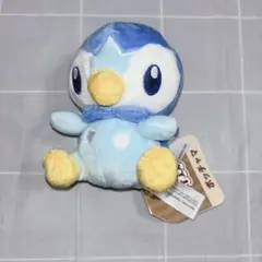 ポケモン fit ポッチャマ 旧タグ