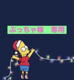 ぷっちゃ様　専用