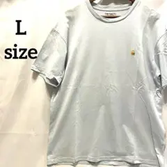【訳あり】Carhartt WIP 半袖 Chase T-Shirt 水色 Lのサムネイル
