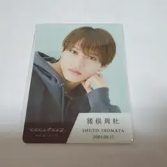 timelesz 猪俣周杜 猪戸周杜 まとめ売り 猪俣周杜 8iper 猪戸周杜 アイドル timelesz - メルカリ