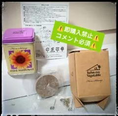 ▼コメント必須▼藤井風 何がでるかな 野菜缶 未使用★ グッズ 全７種 コメント必須▽藤井風 何がでるかな 野菜缶 未使用☆ グッズ 全