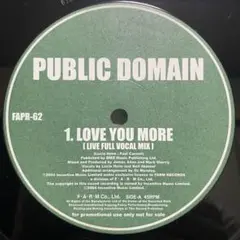PUBLIC DOMAIN LOVE U MORE Promo