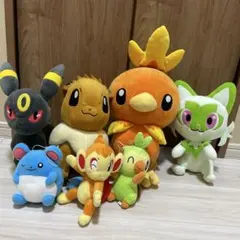 ポケモン ぬいぐるみセット 中型　まとめ売り
