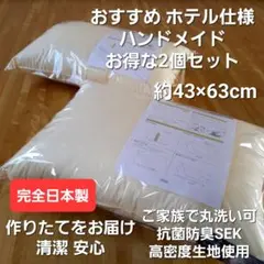 Sealy ダウンピロー350 43×63cm 抗菌防臭 防ダニ加工 - メルカリ